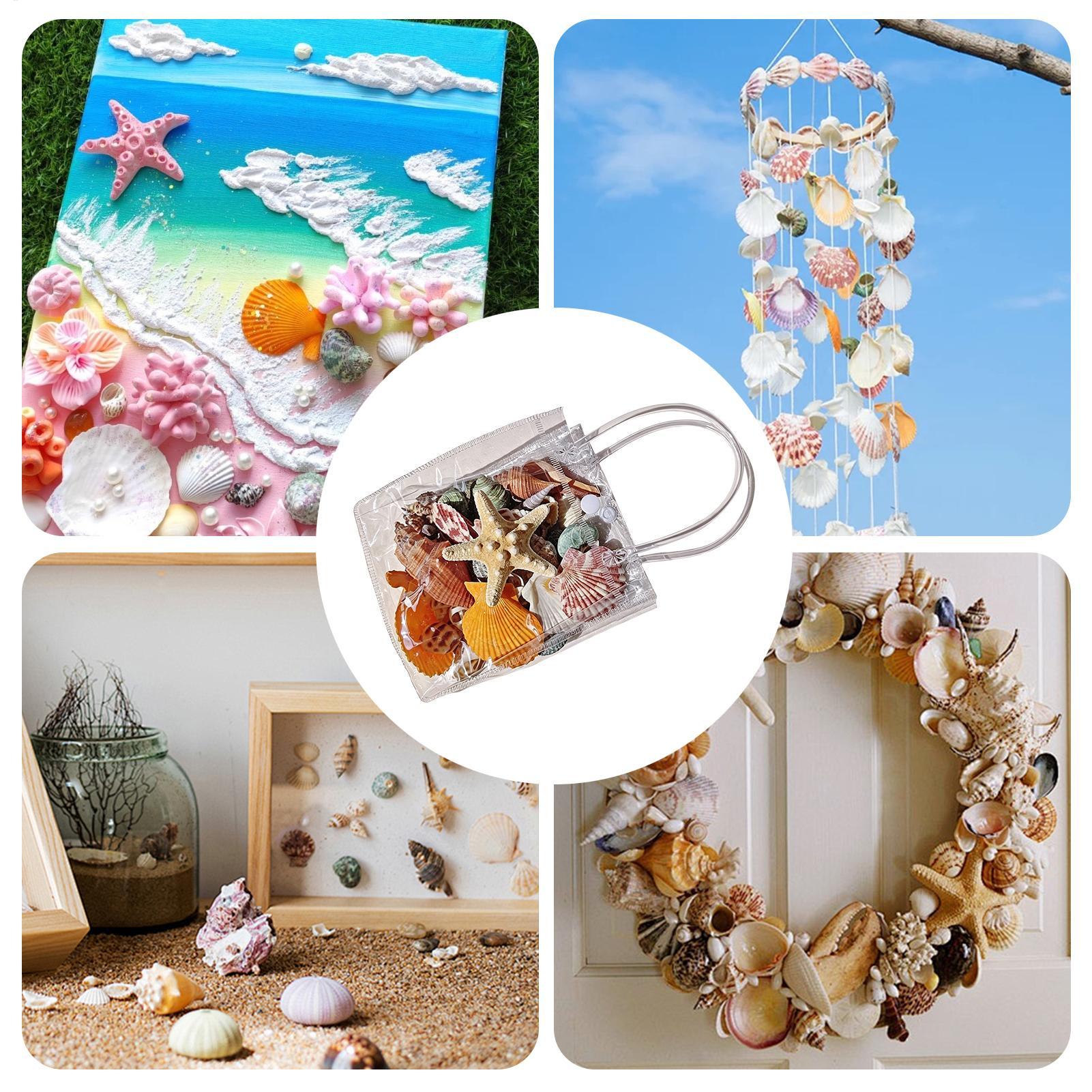 Tiny Seashells For Crafts Natu - Candle Making For Kids recension och pris