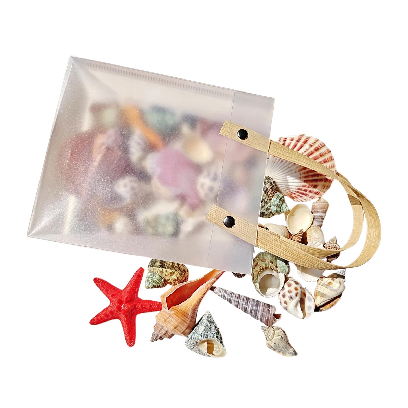 Tiny Seashells for Crafts Natu - Candle Making For Kids recension och pris